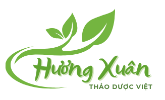 Dây Thìa Canh